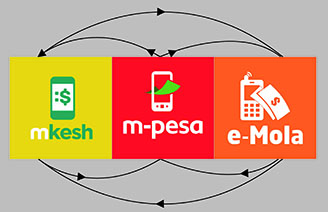 CARTEIRA MOVEL WEB